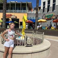 Sunny The Seahorse