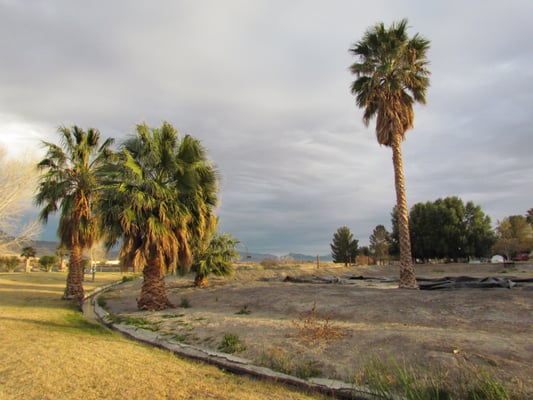Shoshone Trailer RV Park by null