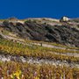 Photo of Domaine du Mont d'Or