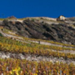Domaine du Mont d'Or