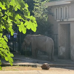 Bioparco