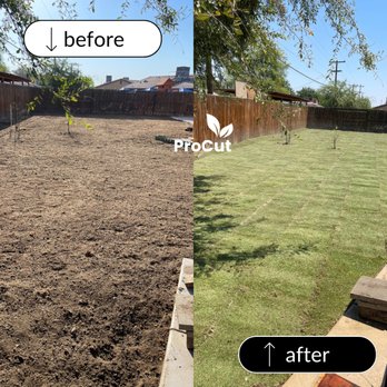 Pro Cut Landscape - Irrigation Near Me
