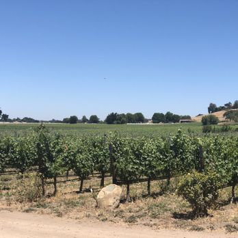 The Brander Vineyard - Wineries Near Me - Los Olivos, California The Brander Vineyard - Wineries Near Me - Los Olivos, California
