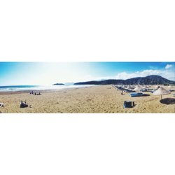 turtle beach