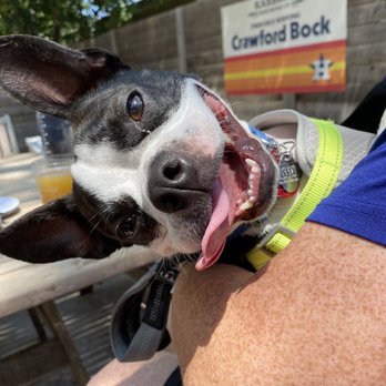 Finley's Round Rock - Dogs are welcome! - Bars Near Me - Round Rock, Texas