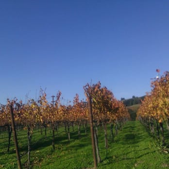 Viszlay Vineyards - Wineries Near Me - Healdsburg, California Viszlay Vineyards - Wineries Near Me - Healdsburg, California