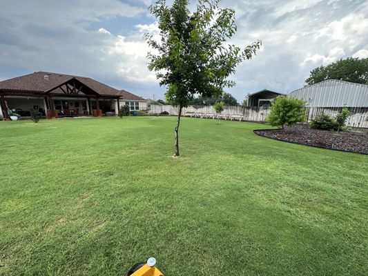 Lawn Service You Can Trust - If you need your lawn maintained or bushes trimmed, we are here to help! Servicing the Fort Worth area EZ LawnZ will make your lawn look perfect every time! Give us a call today.