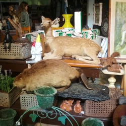 Junk & Disorderly - Stuffed animals