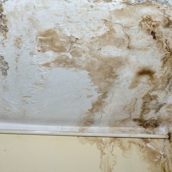 OneRestore - a moldy ceiling in a bathroom - General Contractors Near Me - Ocala, Florida OneRestore - a moldy ceiling in a bathroom - General Contractors Near Me - Ocala, Florida