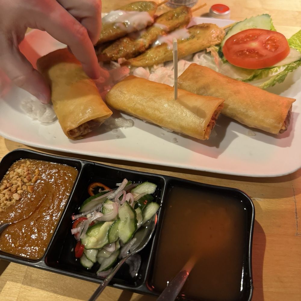 Rakang Thai Restaurant - Satay chicken and vegetable spring rolls. - Thai Near Me - Amsterdam, New Hampshire