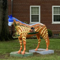 Bellewood Gallopalooza Horse