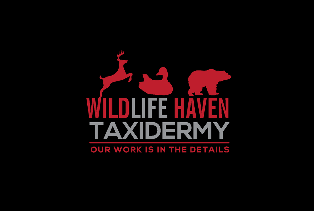 Wildlife Haven Taxidermy - taxidermy in Capac, MI