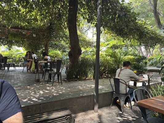 The Ventanita Cafe by null