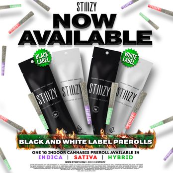 STIIIZY - Palm Desert - STIIIZY Black & White Label Prerolls - Cannabis Dispensaries Near Me - Rancho Mirage, California STIIIZY - Palm Desert - STIIIZY Black & White Label Prerolls - Cannabis Dispensaries Near Me - Rancho Mirage, California