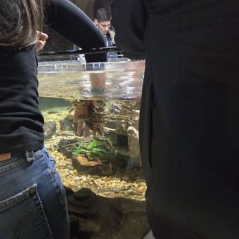 City Museum - Museums Near Me - Saint Louis, Missouri