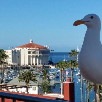 The Avalon Hotel - Hotels Near Me - Avalon, California The Avalon Hotel - Hotels Near Me - Avalon, California