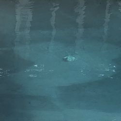 Island Pools