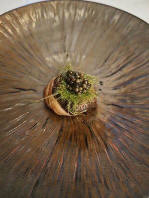 Course Restaurant by null