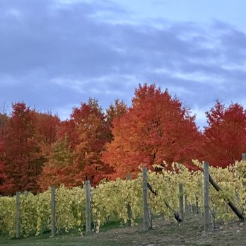 Able Shuttle - Who's ready to go to the local wineries? - Taxis Near Me Able Shuttle - Who's ready to go to the local wineries? - Taxis Near Me