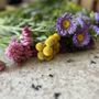 Photo of Floral Note