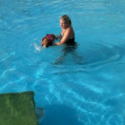 Pleasant Pooch Daycare and Boarding - Trudie at her first swim lesson.