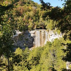 Eugenia Falls Conservation Area