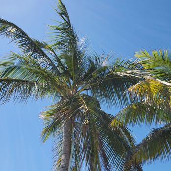 Rest Beach - Beaches Near Me - Key West, Florida Rest Beach - Beaches Near Me - Key West, Florida