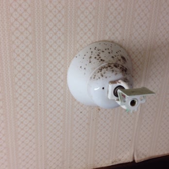 Circus Circus - Mold in room. - Hotels Near Me - Las Vegas, Nevada Circus Circus - Mold in room. - Hotels Near Me - Las Vegas, Nevada