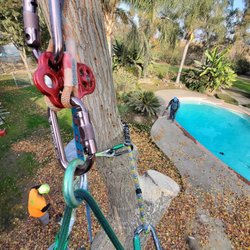 Pete's Tree Service