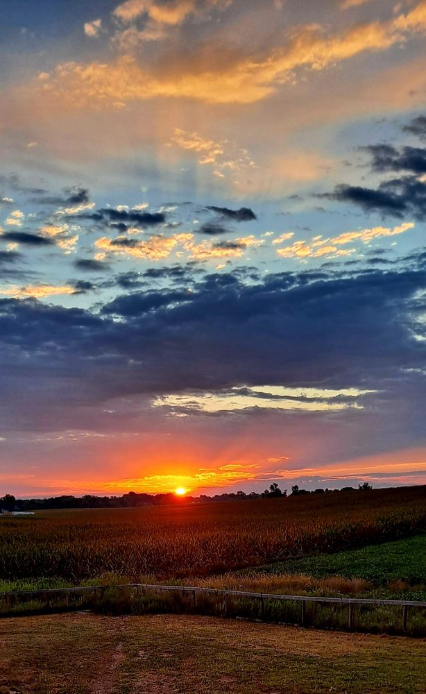 Blue Ridge Behavioral Health Services - grief counselor in Frederick, MD