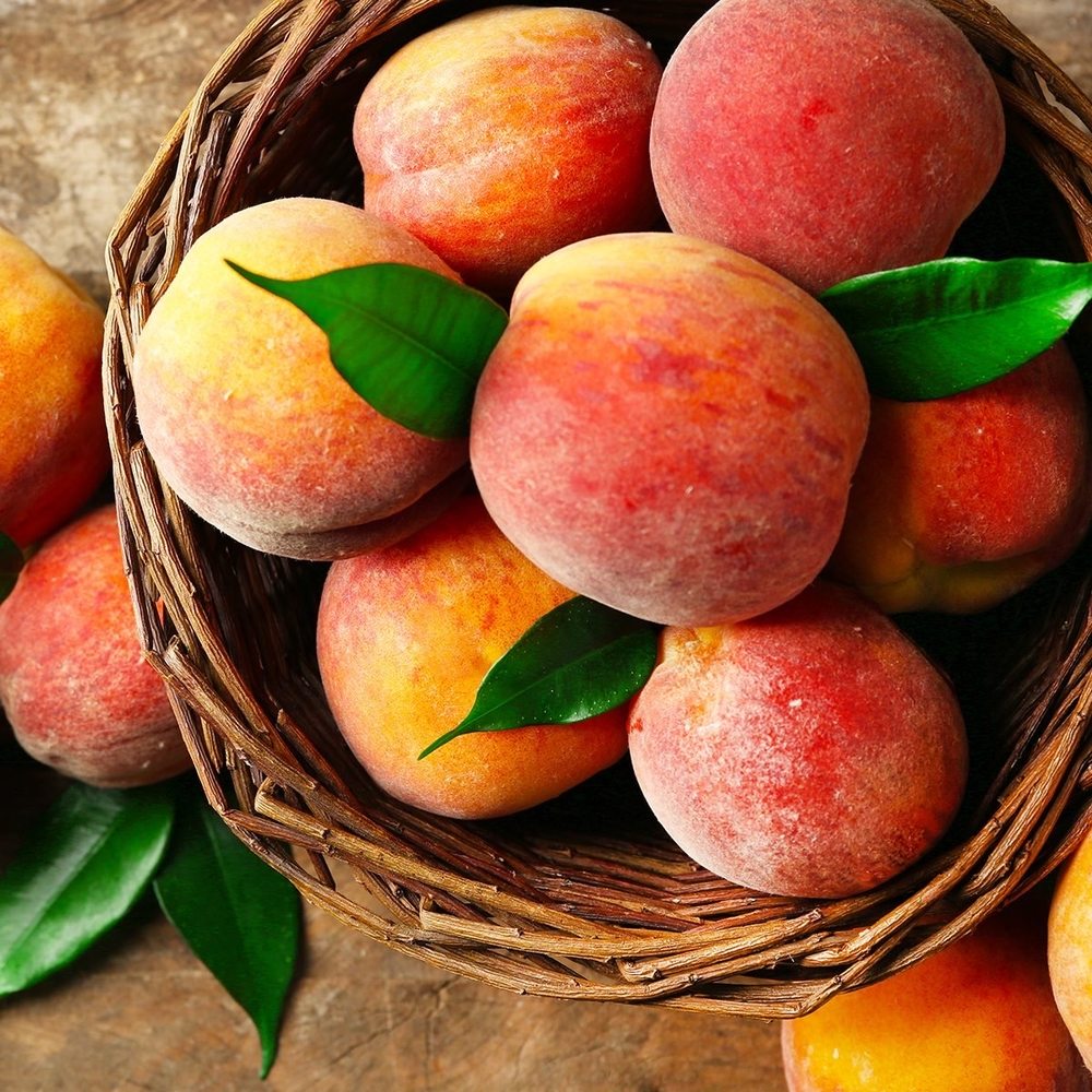 Rocky Top Fruit Farm Logo