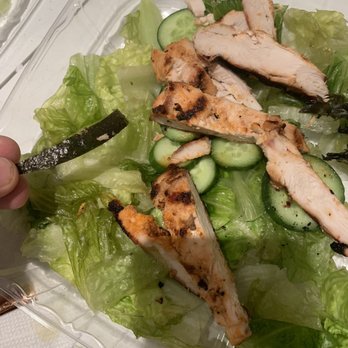 Pita Jungle - Soggy lettuce, burnt chicken, and a piece of avocado skin.. terrible salad. Thank you for comping the meal but who the hell is making these? - Mediterranean Near Me - Mesa, Arizona