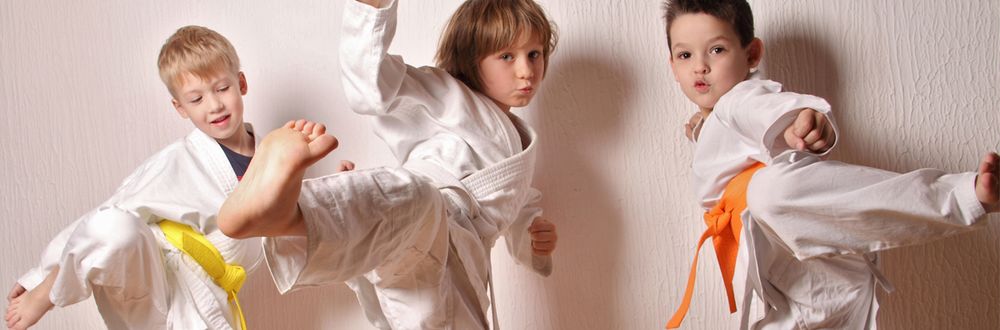 Karma Karate Logo