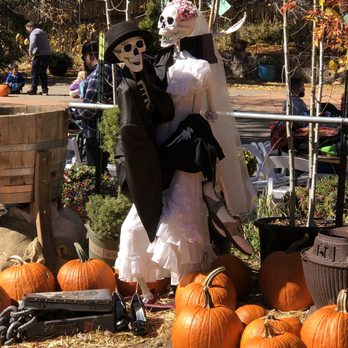 Viola's Flower Garden - Till death do us part... - Nurseries & Gardening Near Me - Flagstaff, Arizona Viola's Flower Garden - Till death do us part... - Nurseries & Gardening Near Me - Flagstaff, Arizona