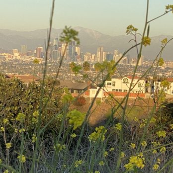 Kenneth Hahn State Recreation Area - View of downtown Los Angeles - Parks Near Me - Los Angeles, California Kenneth Hahn State Recreation Area - View of downtown Los Angeles - Parks Near Me - Los Angeles, California