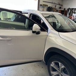 Precision Tinting