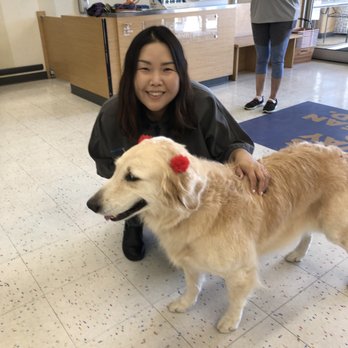 Petco - Pet Stores Near Me - Bakersfield, California Petco - Pet Stores Near Me - Bakersfield, California