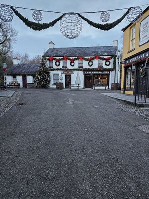 Bunratty Castle & Folk Park by null