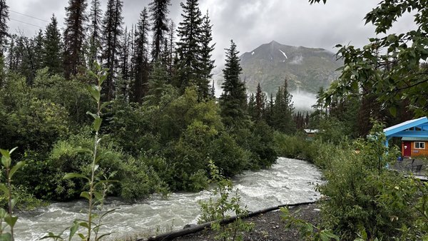 Denali Hostel & Cabins by null