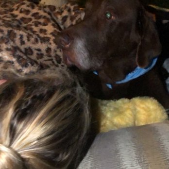 Carrie Nagel DVM - At Home Euthanasia - Giving all the love and pets - Veterinarians Near Me