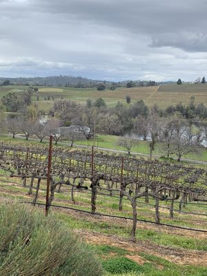 Iron Hub Winery by null