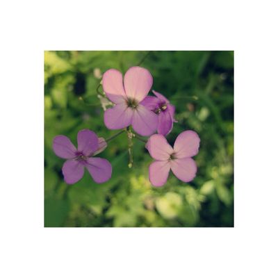 Capital Springs State Park and Recreation Area