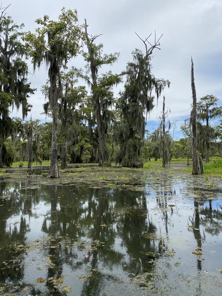 CANE RIVER CREOLE NATIONAL HISTORICAL PARK 11 Photos 5549 Hwy 119