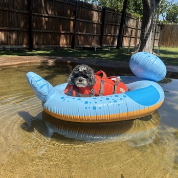 Rutherford Veterinary Hospital - Veterinarians Near Me - Dallas, Texas Rutherford Veterinary Hospital - Veterinarians Near Me - Dallas, Texas