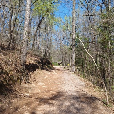 Red Mountain Park by null
