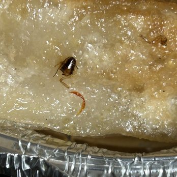 Dumpling + Noodle - Half of the Body and legs - Noodles Near Me - Bronxville, New York Dumpling + Noodle - Half of the Body and legs - Noodles Near Me - Bronxville, New York