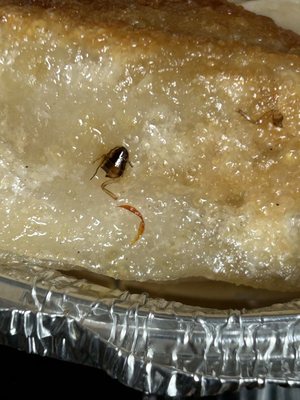 Dumpling + Noodle by null