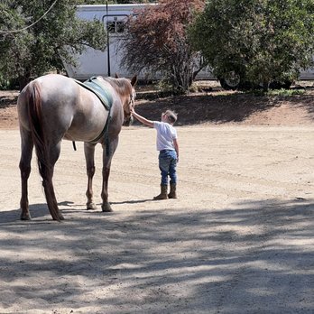Mettrick Quarter Horses - My 4-year-old is learning how to groom and bond with one of the Pams loving horses - Horseback Riding Near Me - Riverside, California Mettrick Quarter Horses - My 4-year-old is learning how to groom and bond with one of the Pams loving horses - Horseback Riding Near Me - Riverside, California