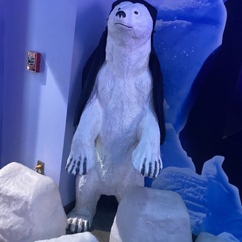 ICEBAR Orlando - Dance Clubs Near Me - Orlando, Florida ICEBAR Orlando - Dance Clubs Near Me - Orlando, Florida