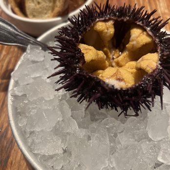 Taylor Shellfish Farms - Uni - Seafood Near Me - Seattle, Washington